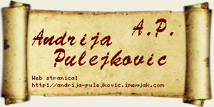 Andrija Pulejković vizit kartica